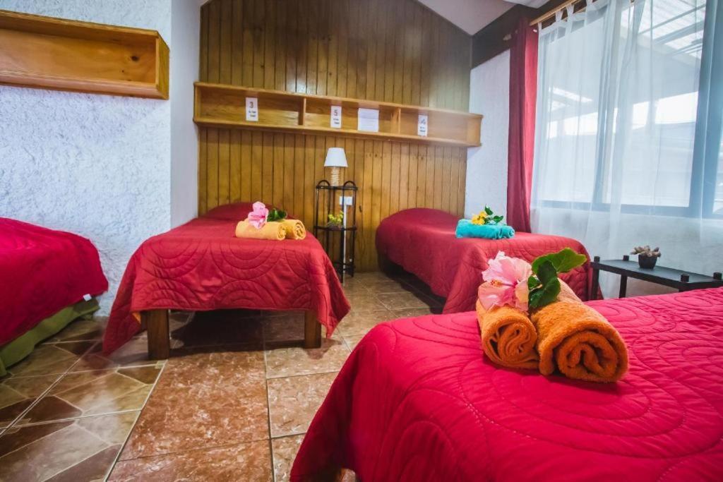 Cabanas & Hostal Tojika Hanga Roa Ngoại thất bức ảnh