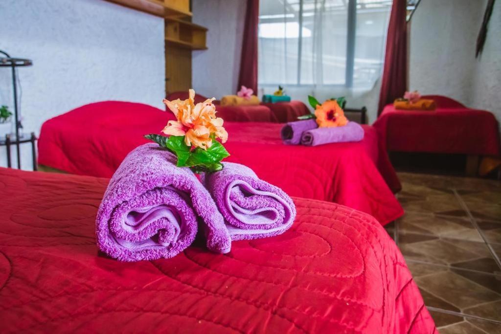 Cabanas & Hostal Tojika Hanga Roa Ngoại thất bức ảnh
